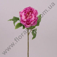 Цветок Пион розовый 71306