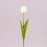Цветок Тюльпан белый 71476