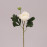Цветок Камелия белый 71802