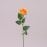 Квітка Троянда оранжева 72051