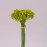 Букет декоративний з жовтим цвітом 72302