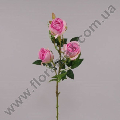 Цветок Роза розовый 70443