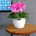 Горшок пластмассовый MAGNOLIA JUMPER авокадо 16см.