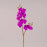 Квітка Фаленопсис з латексу ультрафіолетова 72614