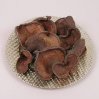 Сухоцвет Badam Natural 7-12 см. (10 шт. в упаковке) 69806