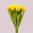Букетик Тюльпанів жовтий 72718