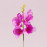 Цветок Фрезия розовый 72868