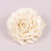 Сухоцвет цветочек Sola Folded Dahlia 8 см. 25 шт. 69861
