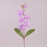 Квітка Фаленопсис світло-фіолетова 73147