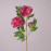 Квітка Півонія персиково-фіолетова 73134
