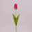 Цветок Тюльпан красный 73267