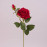 Квітка Троянда червона 73281