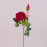 Цветок Роза красный 73284