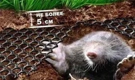Садова сітка