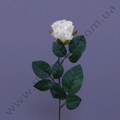 Цветок Роза 23086