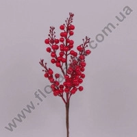 Ветка с красными ягодками 23522
