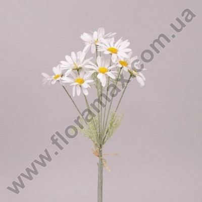 Букет Ромашок 71134