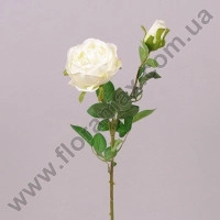 Цветок Роза английская кремовый 71153