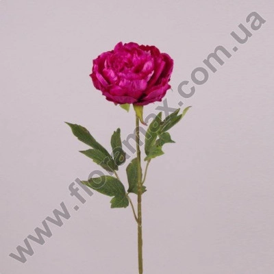 Цветок Пион малиновый 71246
