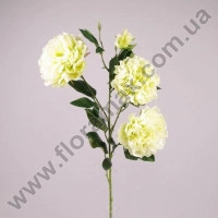 Гілка Півонії зелена 71284