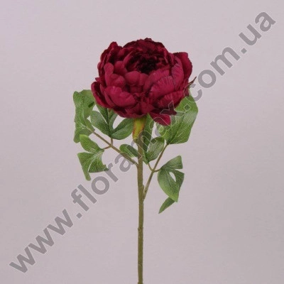 Цветок Пион бордовый 71307