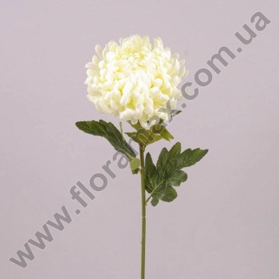 Цветок Хризантема белый 71380