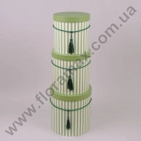 Комплект коробок для квітів 3 шт. 40568
