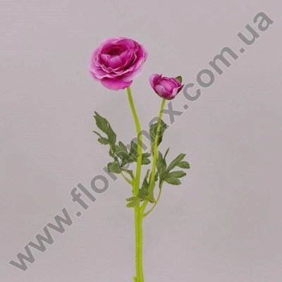Квітка Ранункулус фіолетова 70438