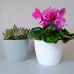 Горшок пластмассовый MAGNOLIA JUMPER морской 11см.
