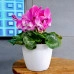 Горшок пластмассовый MAGNOLIA JUMPER морской 11см.