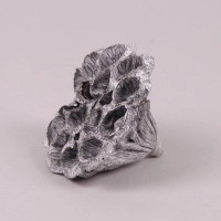 Лотос для композицій білий 8-10 см. (10 шт.) 44262