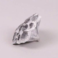 Лотос для композицій білий 10-12 см. (10 шт.) 44263