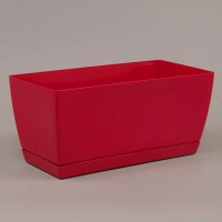 Кактусник пластмассовый Coubi CASE малиновый 40см.