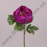 Цветок Пион фиолетовый 70324