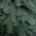 Ялинка лита Роял блакитна 210 см. 49539