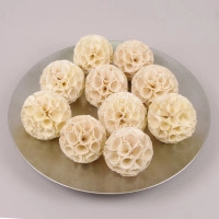 Сухоцвіт Кульки Sola Crape Ball D-10 см (10 шт. в упаковці) 69820