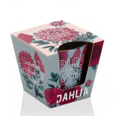 Свеча ароматическая "Blooming Season" (Dahlia) 28734