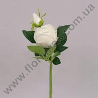 Цветок Роза белый 70444