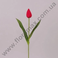 Цветок Тюльпан красный 70795