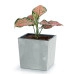 Горшок пластмассовый с вкладом URBI SQUARE LOW BETON EFFECT маренго 23х23см.