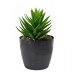 Горшок пластмассовый Magnolia Eco recycled черный бетон 21см.