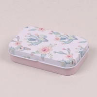 Коробочка металева Кактуси 25298