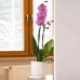 Горшок пластмассовый Mika Cyli Petit Eco Recycled белый 12см.