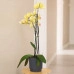 Горщик пластмасовий Mika Cyli Petit Eco Recycled чорний 26см.
