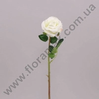 Цветок Роза белый 70542