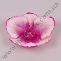 Свічка Orchidea Kwiat 24590