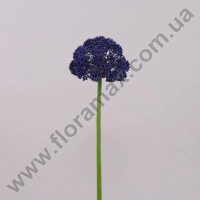 Квітка Часнику синя 70183