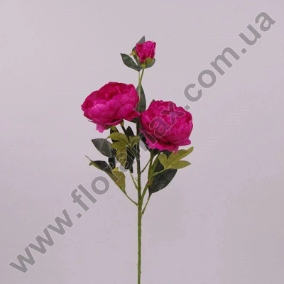 Квітка Півонія малинова 70645