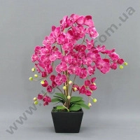 Декорация фаленопсис К15.008