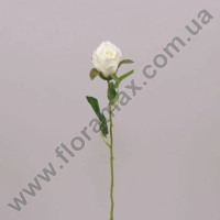 Цветок Роза белый 70535